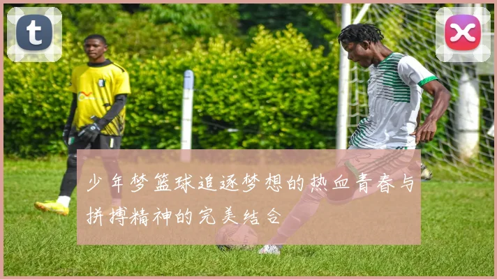 少年梦篮球追逐梦想的热血青春与拼搏精神的完美结合