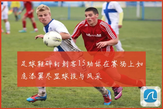 足球鞋碎钉刺客15助你在赛场上如虎添翼尽显球技与风采