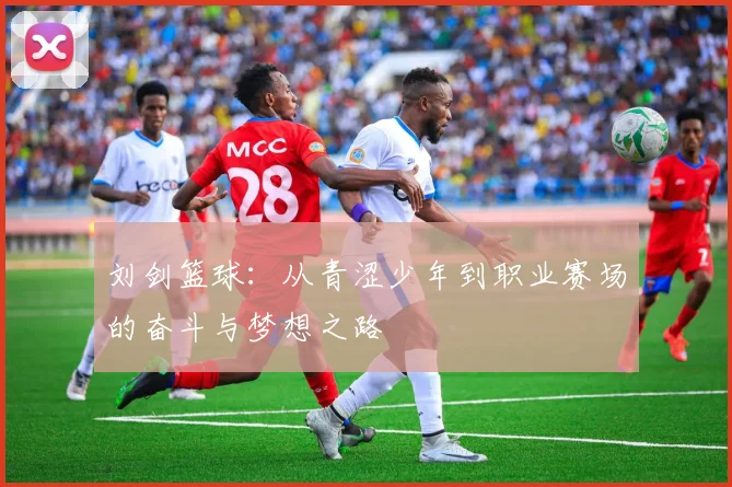 刘剑篮球：从青涩少年到职业赛场的奋斗与梦想之路