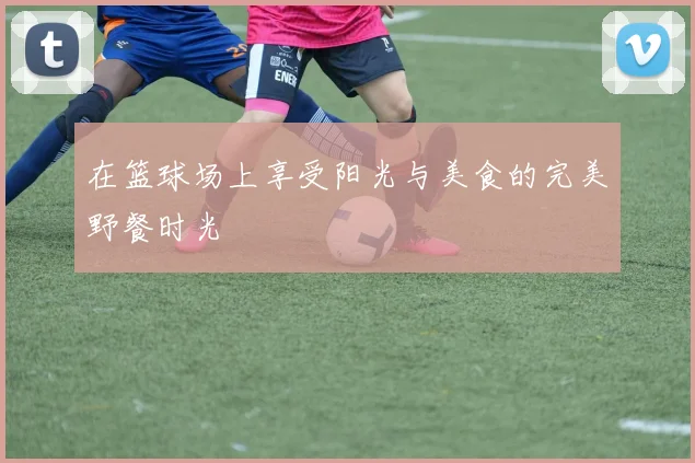 在篮球场上享受阳光与美食的完美野餐时光