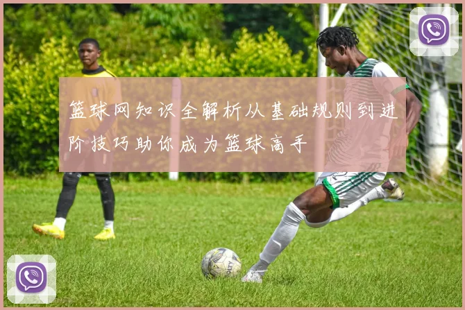 篮球网知识全解析从基础规则到进阶技巧助你成为篮球高手